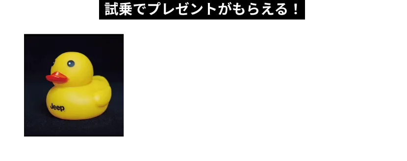 試乗でプレゼントがもらえる！ Jeepオリジナルグッズ or キャッシュレスポイント2,000円分 ※PayPayポイントは出金、譲渡不可です。
              ※PayPay/PayPayカード公式ストアでも利用可能です。
              ※本キャンペーンは【JEEPOSAKA】による提供です。
              ※お問い合わせにつきましては、【JEEPOSAKA】までお願いいたします。
              ※写真はイメージです。